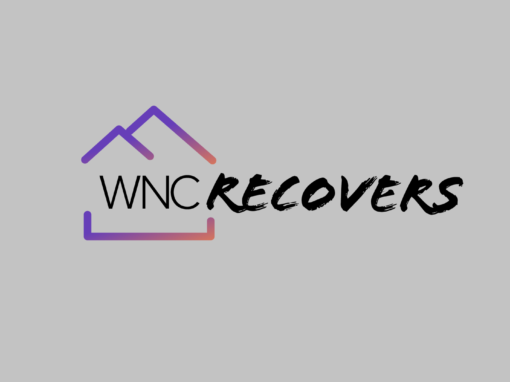 Logo + Web UX